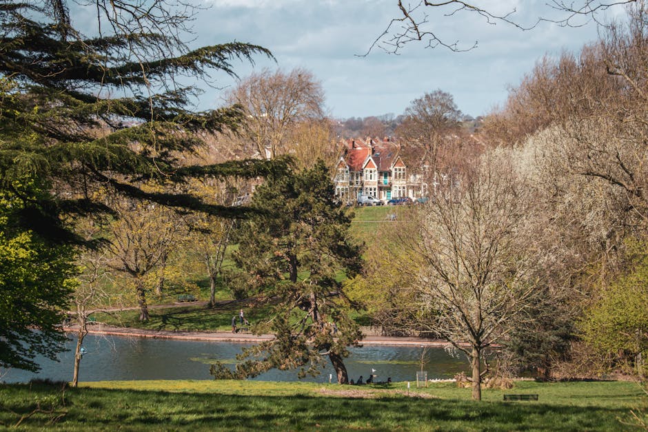 A broad view of a park with a pond in the foreground, surrounded by leafless deciduous trees and some evergreen conifers, indicating early spring or late autumn. On the pond, a few people are visible walking along the edge or sitting by the water. In the background, atop a gently sloping hill, stands a large, historic-looking house with red brickwork, white window frames, and multiple roof towers, partially obscured by trees. The park area appears well-maintained with grassy patches and pathways, and a clear cloudy sky overhead. The outdoor setting suggests a peaceful environment suitable for leisure activities, situated near residential properties, as referenced in house removals and relocation context for Merton Council permits, with Man with Van Morden Park providing moving and packing services in the area.