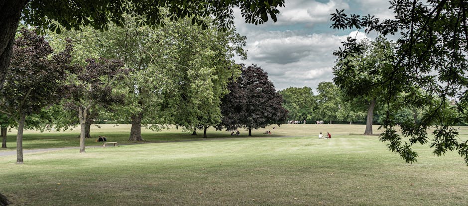 A wide view of a park area with a well-maintained grassy lawn and several mature trees with green and dark purple foliage, some with spreading branches providing partial shade to people sitting on benches and the grass. A paved pathway runs through the background, with a few individuals visible in the distance. The sky is partly cloudy, casting soft, diffused light over the scene, which appears to be part of a residential or community outdoor space. This setting illustrates an outdoor environment suitable for home relocation or packing and moving activities, with ample space for loading goods and furniture transport, though no vehicles or moving equipment are visible in this image.