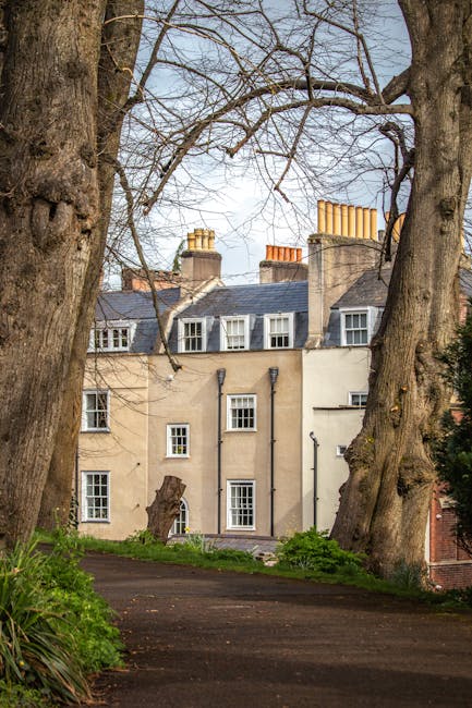 A narrow pathway leading to a white residential building surrounded by large, mature trees with thick trunks and bare branches. The building features multiple windows, some with white frames, and several prominent chimneys on the slate roof. In the foreground, the pathway is bordered by green plants and grass, and the scene is illuminated by natural daylight. The image depicts an exterior view suitable for highlighting house removals or moving services related to residential relocations, with the trees providing a natural frame and the building's context reflecting typical urban or suburban housing environments that Man with Van Morden Park might service during local house moves.