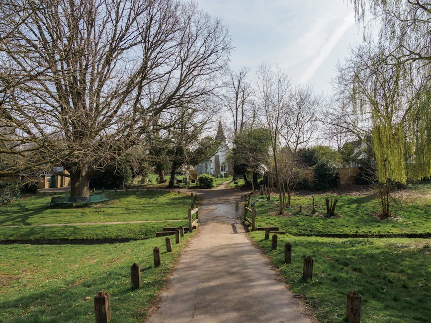 A paved pathway leads through a park-like area with grass on either side, bordered by wooden posts and low railings. Large, leafless trees with spreading branches are visible on either side, some with green foliage starting to emerge, indicating early spring. In the background, a narrow driveway extends toward a small church with a steeple, surrounded by more trees and shrubs. Bright daylight illuminates the scene, with a clear sky overhead. This setting illustrates the outdoor environment surrounding a property where house removals and furniture transport are being coordinated, fitting the context of a home relocation in an estate with narrow access routes, as seen on the webpage about St Helier Estate moves by Man with Van Morden Park.