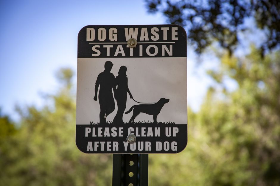 Close-up of a rectangular dog waste station sign mounted on a metal post, positioned outdoors against a background of blurred green trees and a blue sky. The sign features a black and white design with an illustration of a person walking a dog on a leash, and the dog depicted in profile. The upper section of the sign displays the text 'DOG WASTE STATION' in bold capital letters, while the lower section reads 'PLEASE CLEAN UP AFTER YOUR DOG' in a similar font. The sign indicates a designated area for dog owners to dispose of waste, aligning with community regulations. Visible bolts attach the sign to the post, which is situated at ground level, likely within a park or public outdoor space, emphasizing the importance of keeping the environment clean, relevant to outdoor activity areas where house removals or property clear-outs may occur. Man with Van Morden Park occasionally provides services related to moving and logistics in such community settings.